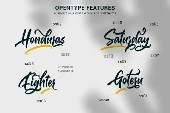 Gallardo Script font