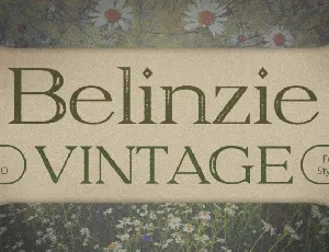 Belinzie Vintage font