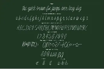 Hallita font