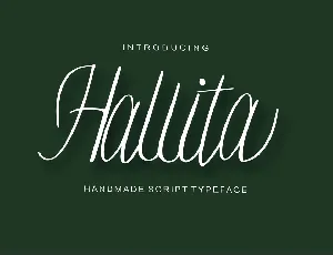 Hallita font