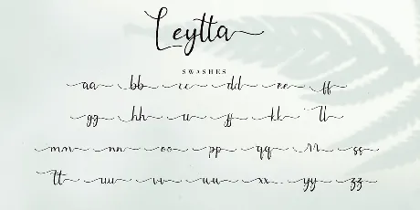 Leytta font