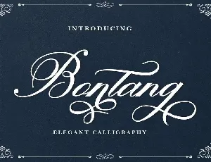 Bontang Free font