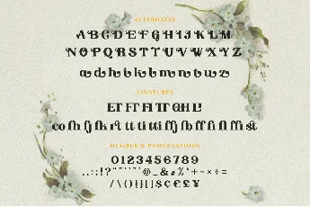 Angon font