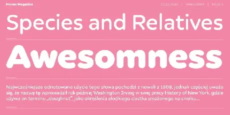 Promo Family font