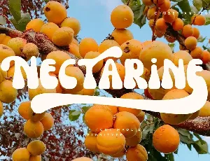 Nectarine font