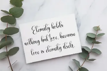 Homestay Calligraphy font