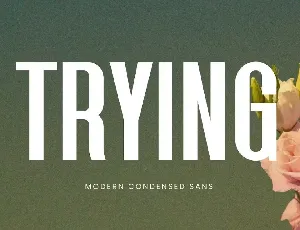 Trying font