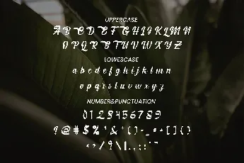 Kaneri font