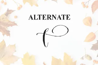 Autumn Script font