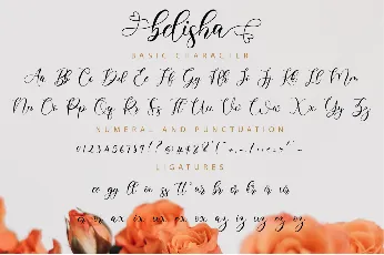 Belisha font