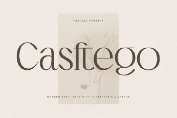 Casftego font