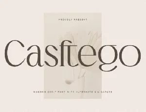 Casftego font