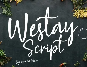 Westay Bold Script font