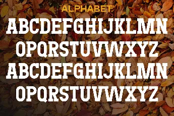 TURNING LEAVES font