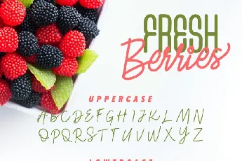 Fresh Berries Duo font