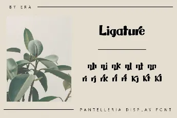 Pantelleria font