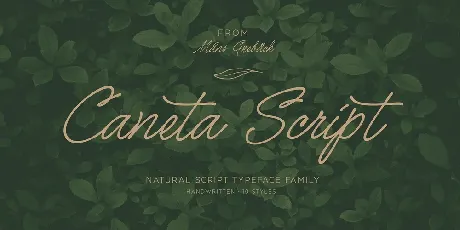 Caneta Script font