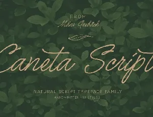 Caneta Script font