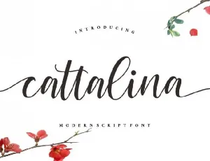 Cattalina Calligraphy font