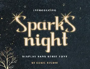 Spark Night Demo font