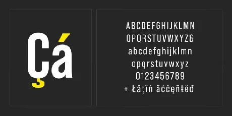 Bebas Neue Pro font