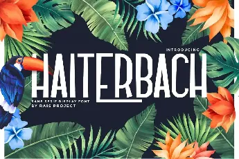 Haiterbach Demo font