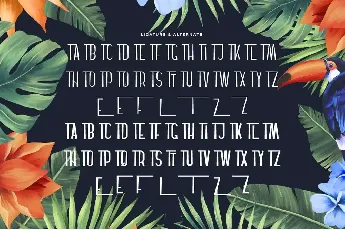 Haiterbach Demo font