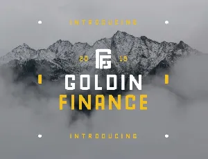 GoldinFinance Typeface font