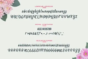 Andhyta Script font