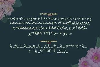 Andhyta Script font