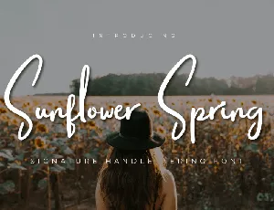 Sunflower Spring Script font