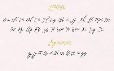 Aperto Script font