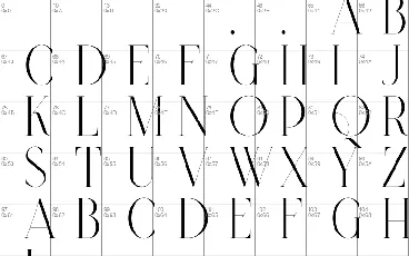 Type Master font