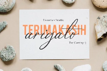 Calligrapher Typeface font