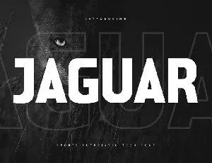 Jaguar font