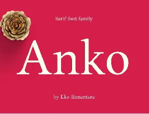 Anko font