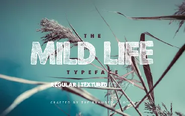 Mid Life font family