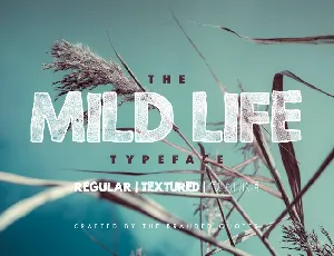 Mid Life font family