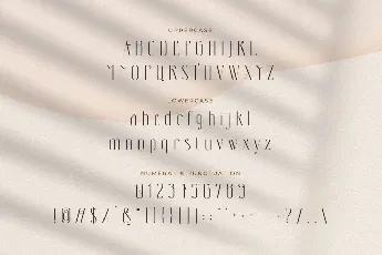 Bottune font