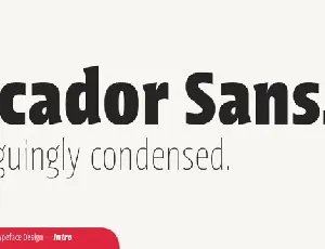 Picador Sans Family font