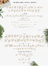 Beautiful Lovina font