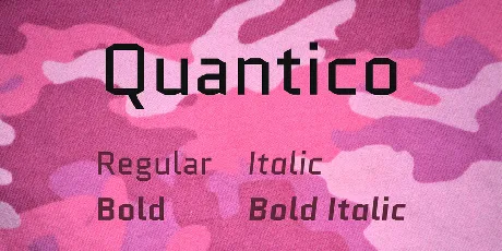 Quantico Family font