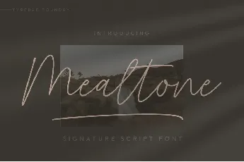 Mealtone font