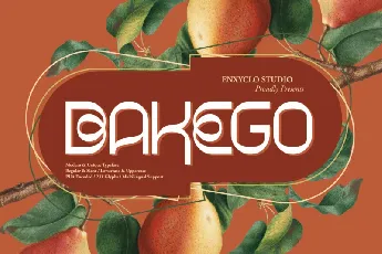 Bakego font