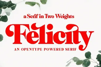 Felicity Serif font