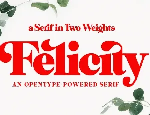 Felicity Serif font