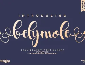 Belymole Calligraphy font