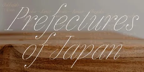 Megumi font