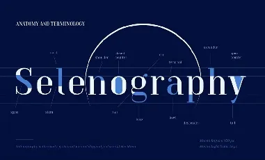 TT Moons Family font