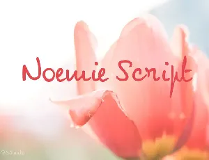 NoemieScript font